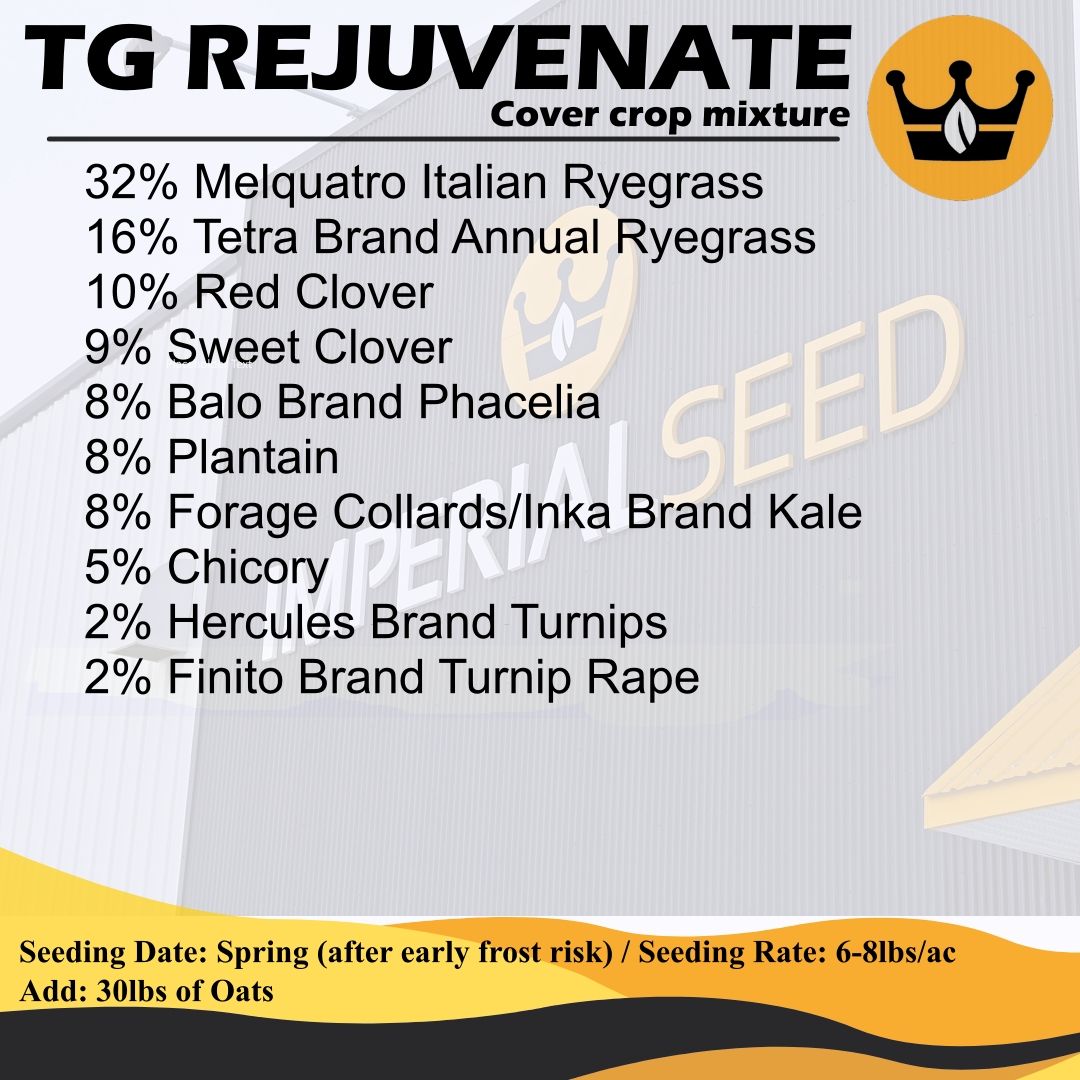 TG Rejuvenate is an excellent grazing crop for all species of livestock.
🌱 Provides multiple grazings 
🌱 Contains several overwintering species for spring grazing in Year 2
🌱 Helps bring old pastures back to life while increasing grazing production