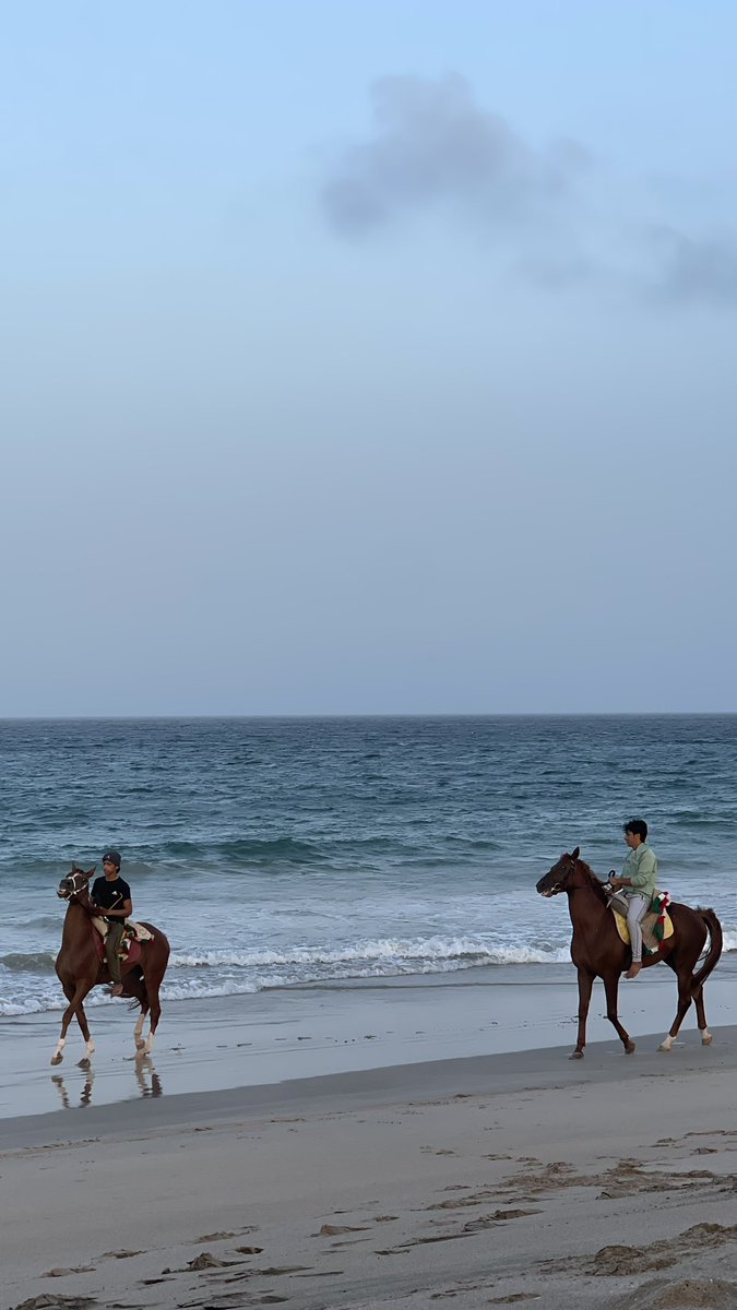 Â (@62_al7arbi) on Twitter photo 