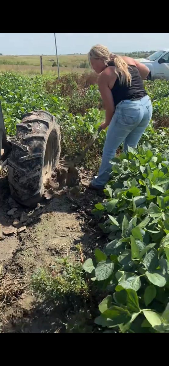 FemaleRancher's tweet photo. Pivot tire sunk in the mud—time to dig it out! 🚜💪 Farming isn’t always glamorous, but it’s always worth it. #FarmLife #PivotProblems #MudChallenge #FarmHustle #RanchLife #Agriculture #FieldWork #FarmChores #DiggingIn #CountryLiving #HardWork #FarmStruggles #FarmingLife #Crop https://t.co/KpYJ37D9iE