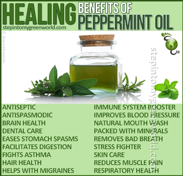 Healthinsurane4's tweet photo. Health & Life Solutions Tuesday HEALTH TIP:
You can use peppermint oil to keep away flies, ants, spiders, & sometimes cockroaches. The oil has compounds, such as menthol, that can help manage mites, mosquito larvae, & other pests.
#TuesdayHealthTip #PeppermintOil #PestControl https://t.co/3E8OlBC4ac