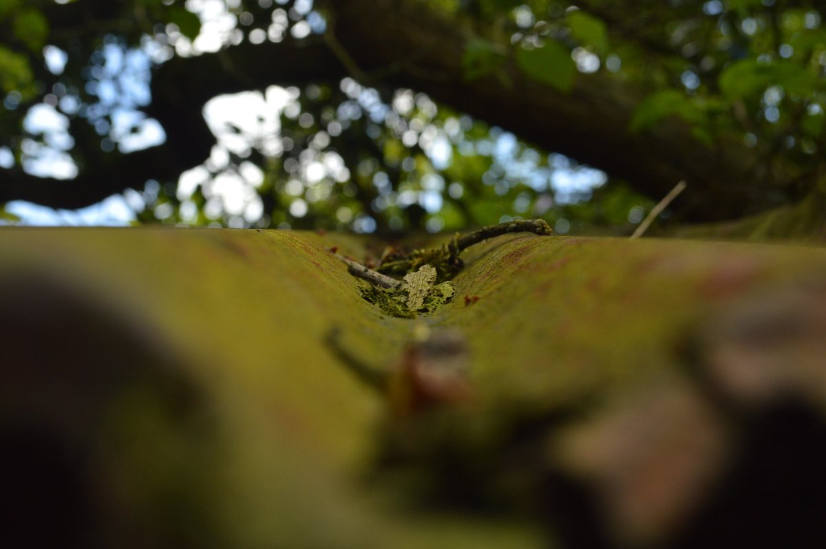 Afternoon all and happy #TezosTuesday

Going to be collecting from #TezPhotoExp again this evening

Have just minted another OE

"debris" - 2 tez

Link below