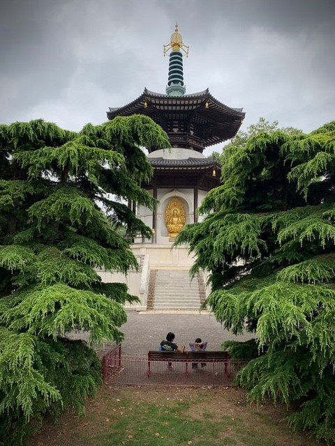 ExamWorksIS's tweet photo. It's World Photography Week! To join the celebration, we asked staff to send in photos for this year's theme of 'An Entire Day'. Adrian, one of our Field Force Investigators, sent in these lovely photos from his stroll through Battersea Park. Thanks, Adrian! #WorldPhotographyDay https://t.co/1zN2YTmiua