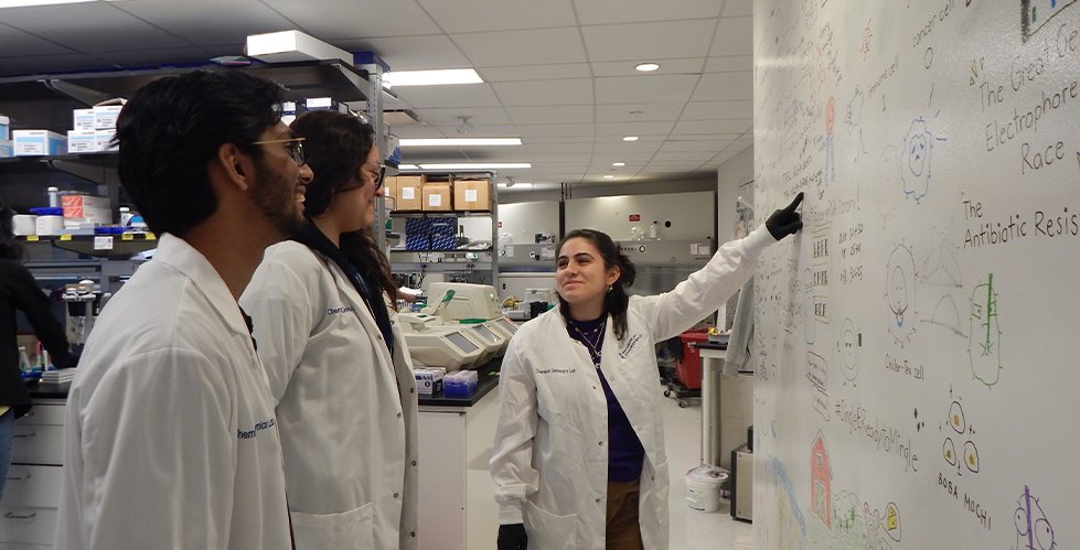 Celebrating 3 years of the IICD SRP! Our SRP alumni have gone on to achieve incredible milestones, and we’re proud to see the program’s impact on their academic and professional journeys.

Read the full article here: bit.ly/3X8ZFPv