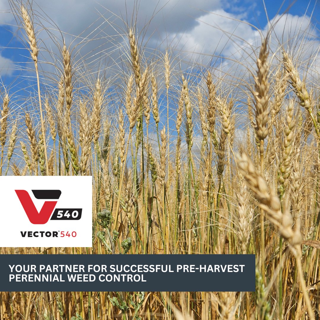 CO-OP AGRO tweet media