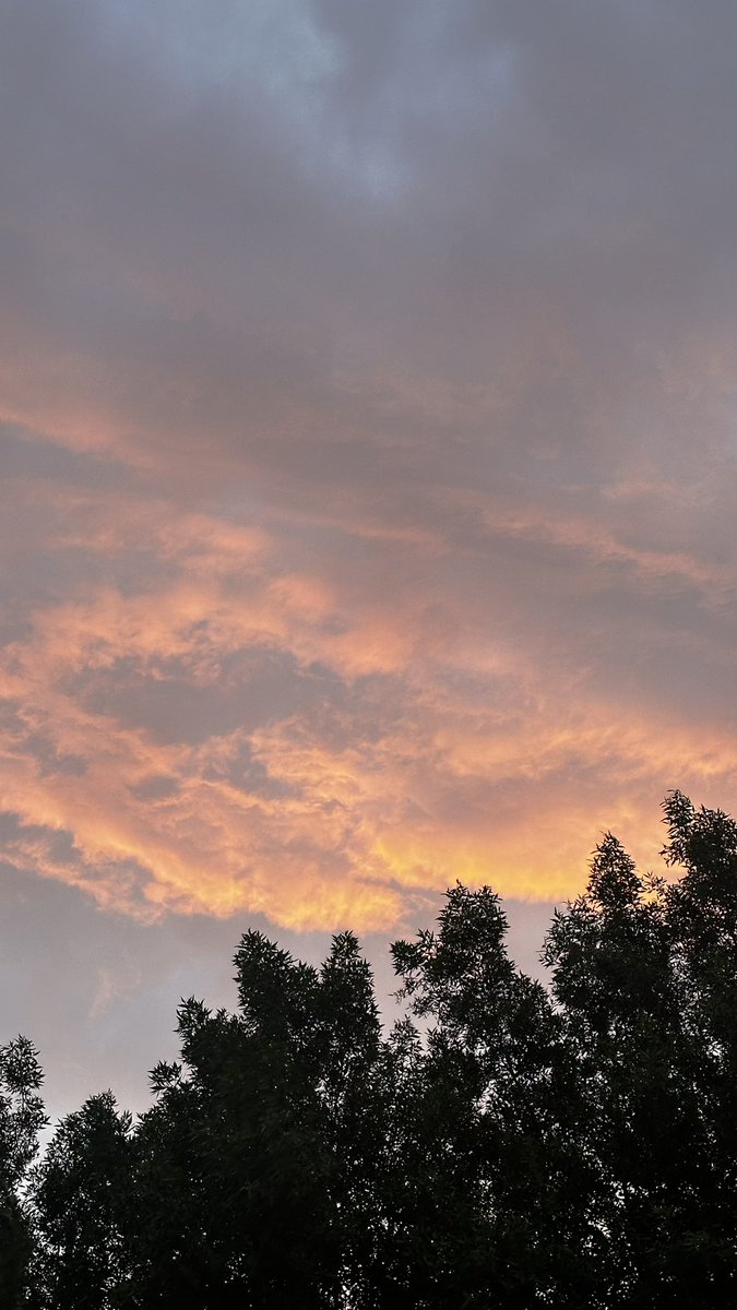 الكلمات لا تؤثر فينا بشكل مؤقت، إنها تغيرنا بالكامل…