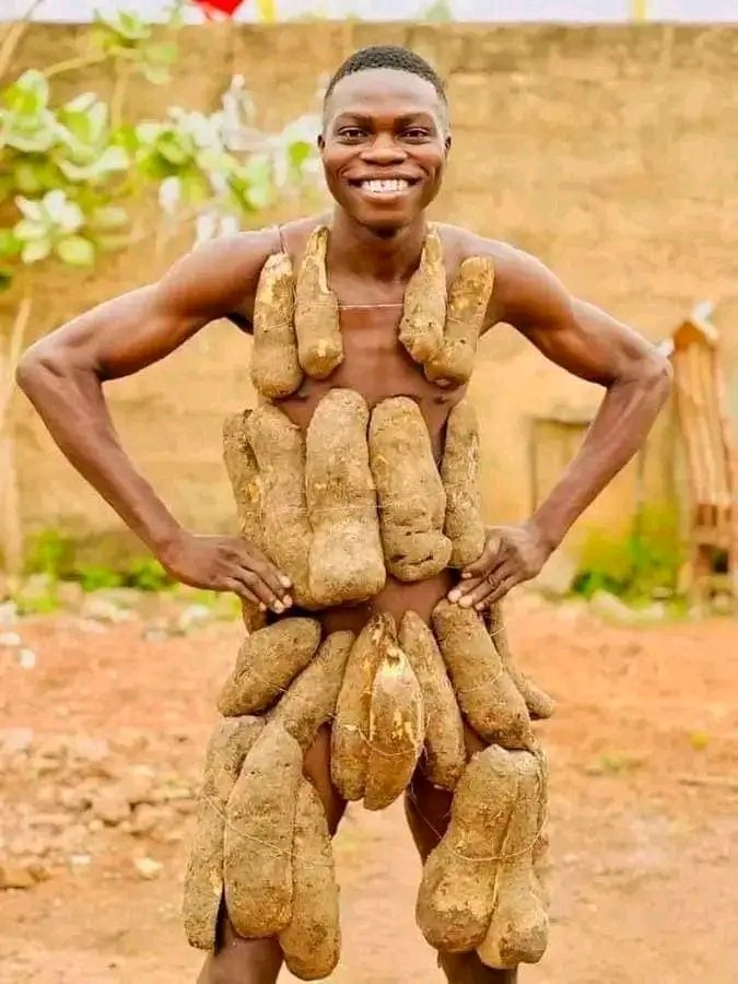 _VOAK_'s tweet photo. Happy #NewYamFestival
Retweet, comment and like if your community is celebrating New yam festival 🎉🎉🎉🎉🎉🎉🎉
#ibafio
#Akwaibom
#igbo
#crossriver
#benin #bini
#Ika #ibibio #Annang
#ikwerre #Andoni #Ijaw #Bonny
#ogoni #worife #Warri #Edo
#kogi #benue #ogoja #Ikom https://t.co/IvDdVnUbWV