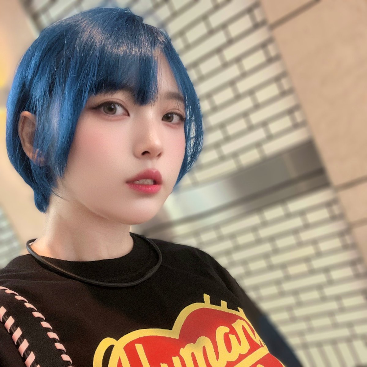 chia20171222's tweet photo. 初めての青💙
色落ちの過程が理想なので濃いめ

3枚目はbefore
（喪服でこの髪色だったからか親族に老けた言われ傷付き即カラーchange🙄）

#haircolor 
#bluehair
#haircolorchange
#青髪　
#beforeafter
#ヘアカラーモデル
#ciel https://t.co/GtqwESP3Sf