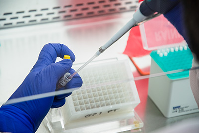 ISU Vet Med tweet media