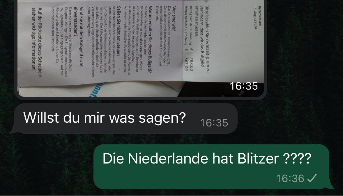 𝘓𝘢𝘶𝘳𝘢 tweet media