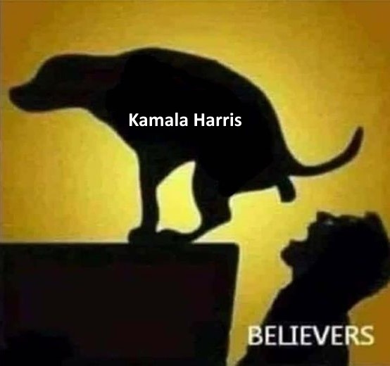 AmericaReal3's tweet photo. To Recap The 2024 DNC National Convention: https://t.co/vuyOA4EQQq