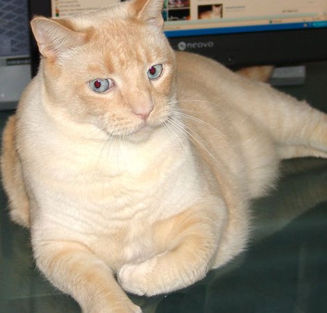 Donald Trump is a convicted felon 34 times, sue me https://t.co/iYxNGIfLJi<a href="/tag/trumpisadementedweirdo"class="tags"><span>#trumpisadementedweirdo</span></a>