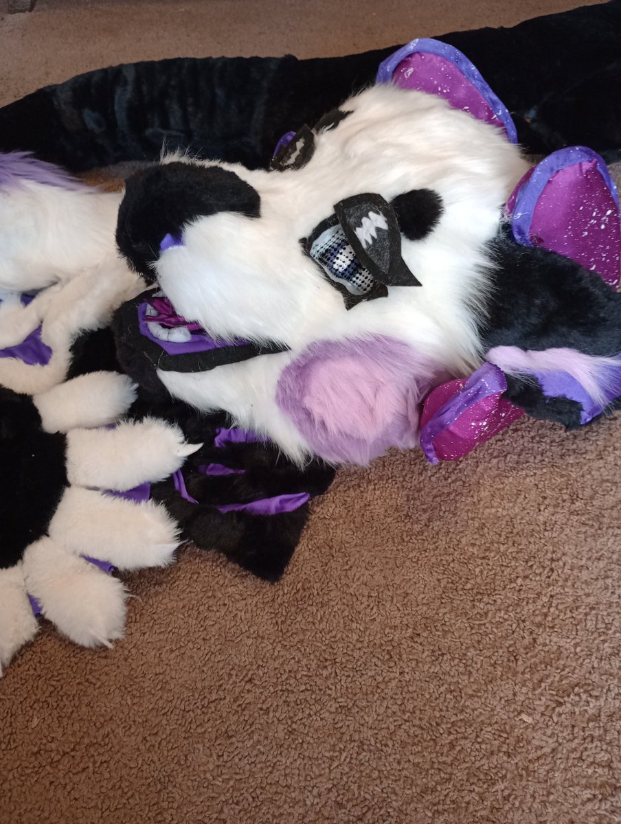 Wild_Auzzie's tweet photo. It's with a heavy heart that I sell Interlope. They include several pieces of art, character rights, and my fursuit partial.
.
.
#fursuit #fursuitforsale #fursuitsale #furryartist https://t.co/tjTqukGlpb
