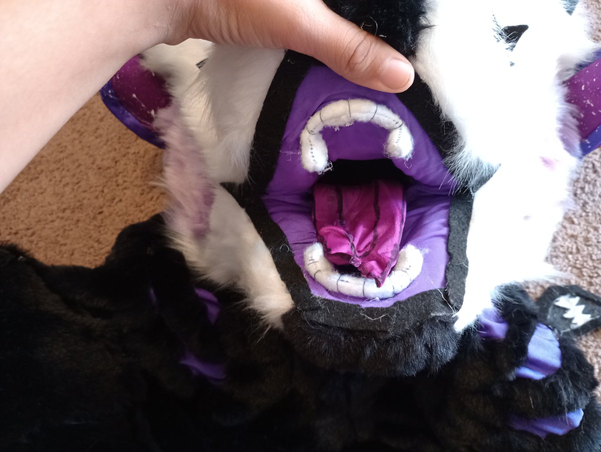 Wild_Auzzie's tweet photo. Inner lining. She also includes removable and adjustable eyelids to change her expressions. Please comment if you're interested in me selling her as an auction starting at $300. https://t.co/7bhpj2jloP