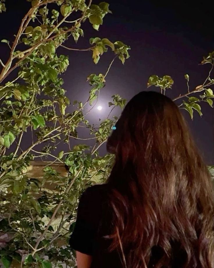 Good Night Everyone ✨❤️