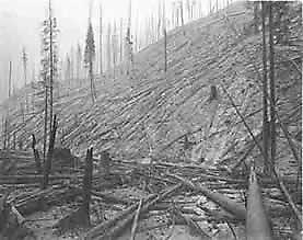 NWCG's tweet photo. 🔥 The Great Fires of 1910 (The Big Blowup) – August 20th 🔥
The 1910 fire season in the Northern Rockies was an unprecedented challenge to the U.S. Forest Service. #ThisDayInHistory #6MFS #NWCG
🔗 https://t.co/OLMFHpp8AF https://t.co/lD3BsRHLgg
