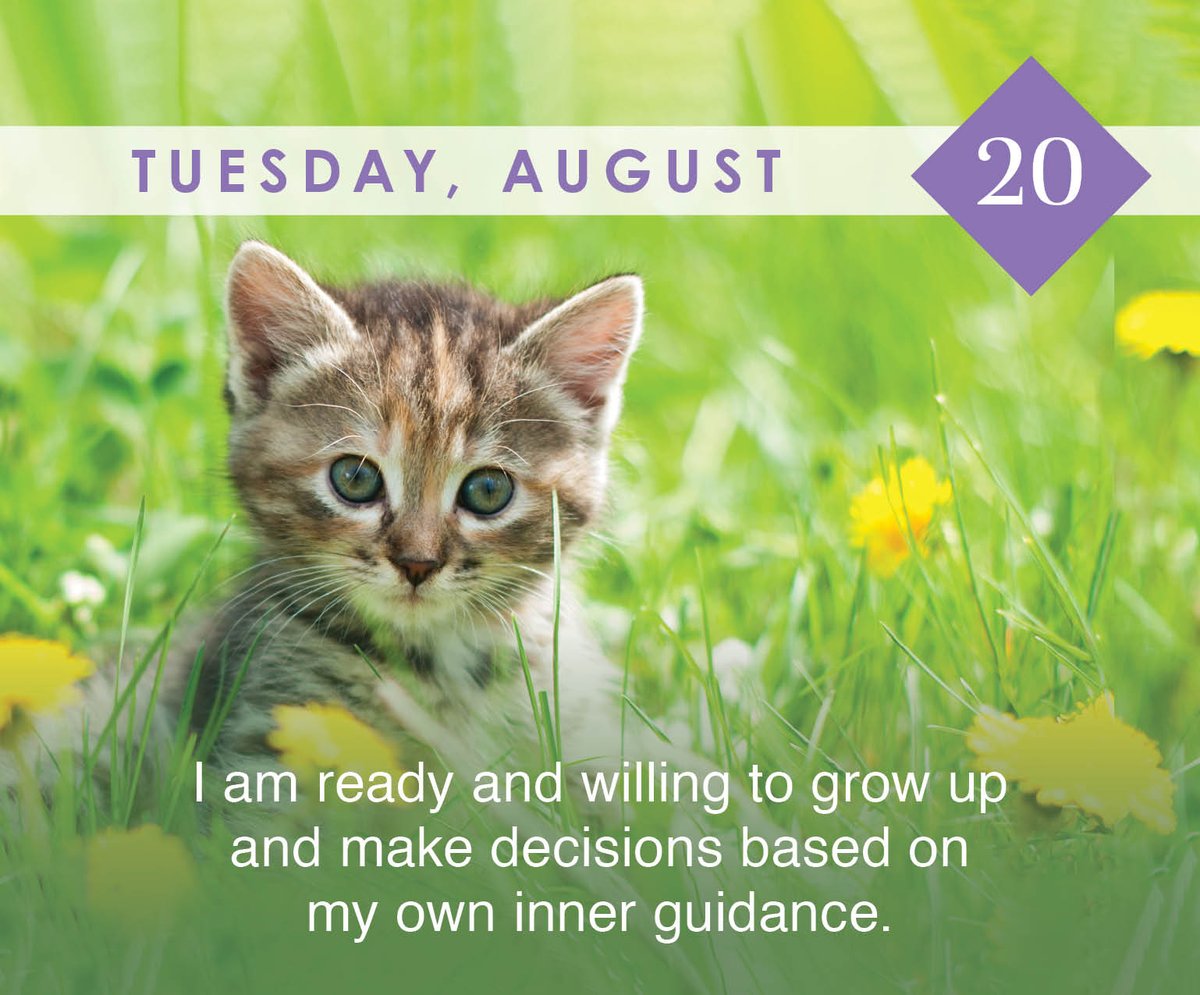 Hay House, Inc. tweet media