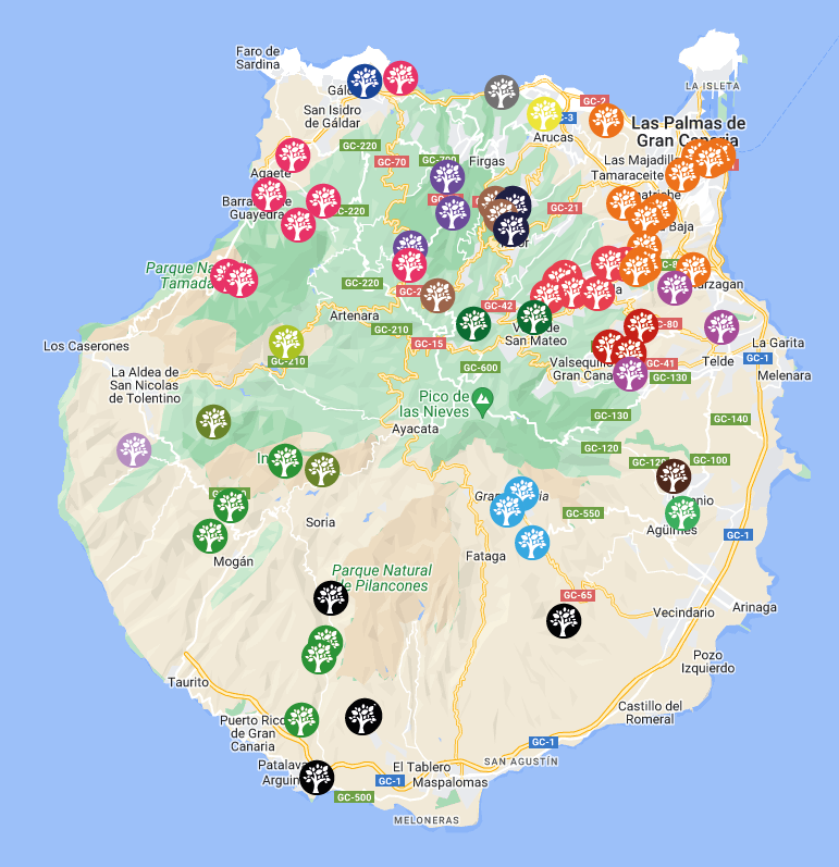 CharlesTroupin's tweet photo. Me había olvidado que existía este mapa con los árboles singulares de #GranCanaria 👏👏

https://t.co/hb988vmDFy https://t.co/kkSChOvKqd
