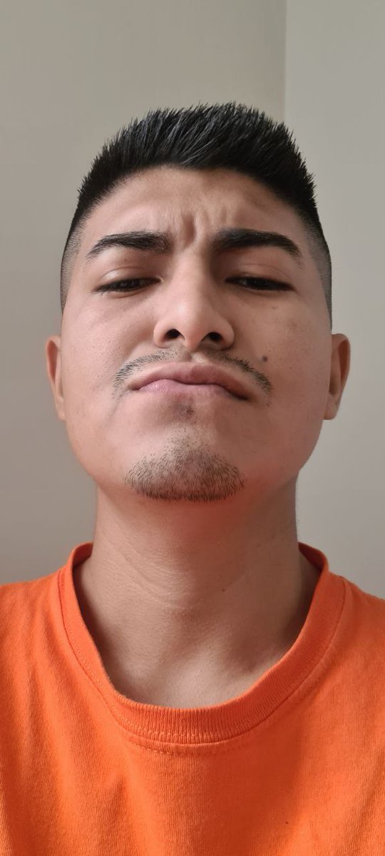 Recopilation tweet media