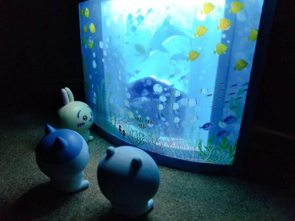 はちわれ 019_20247bb5-f2fa-4635-8c65-