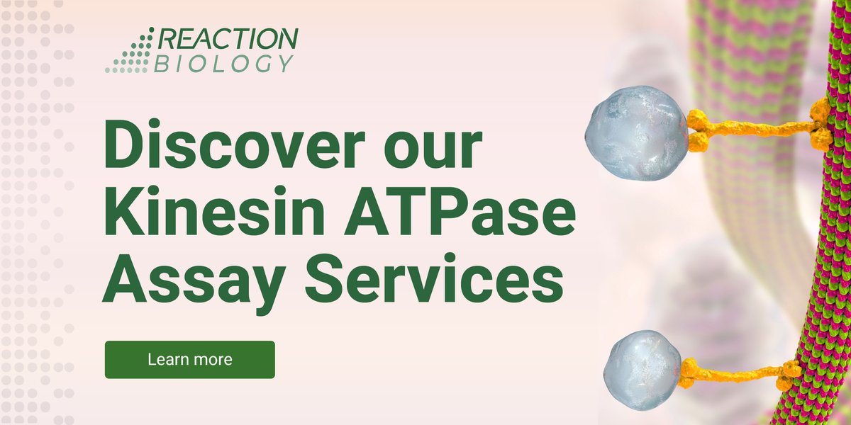ReactionBiology's tweet photo. 🧬 Study motor proteins and their role in cancer with the experts 🧬  Contact us today to learn more about our Kinesin ATPase assays. 🔬 https://t.co/IyrLruEfgo

#Oncology #DrugDevelopment #KinesinATPaseAssay #cancergenome https://t.co/k5MDW1mEJT