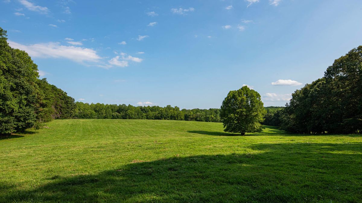 For Sale: The Farm @ Pleasant Run - mailchi.mp/gayleharveyrea…
271 private acres of rolling fields &amp; hardwood forests --- a blank canvas for your dream home or farm!  Near Lake Anna for water sports fun!  Convenient to Fredericksburg, Richmond, Washington, D.C. &amp; Charlottesville.