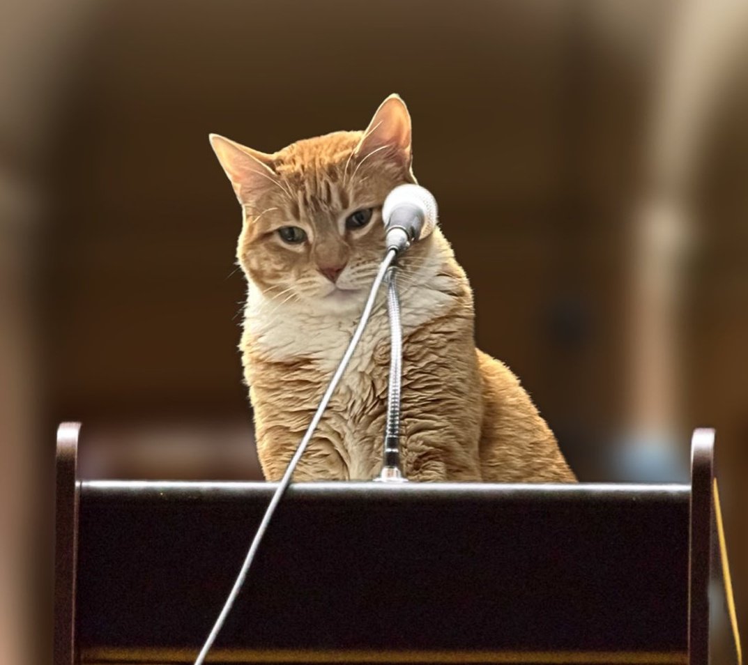 LoveyPuffyPants's tweet photo. #NotEveryone can be Orange and say "I'm better looking than she is. " https://t.co/hRbBmFXmtT