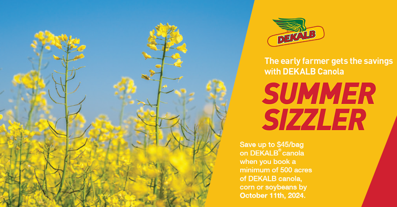 🔥 ☀️ 🔥

The Summer Savings are back with the #DEKALBSummerSizzler! Book a min. of 500 acres of DEKALB seed at your retail by Oct. 11, 2024 to save up to $45 per bag on your canola seed.

Details here: bit.ly/3SVedj4
