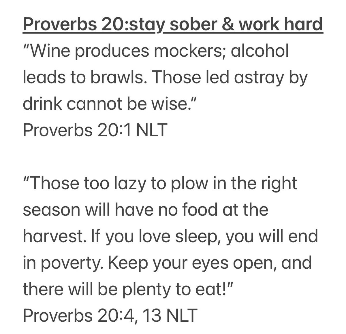Proverbs Chapter 20 makes two points that can help us live well. Staying clear minded and working hard. It doesn’t say alcohol is bad but it says being led by alcohol (or any mind-altering substance) will get us off track. Be careful! And there is no substitute for hard work.