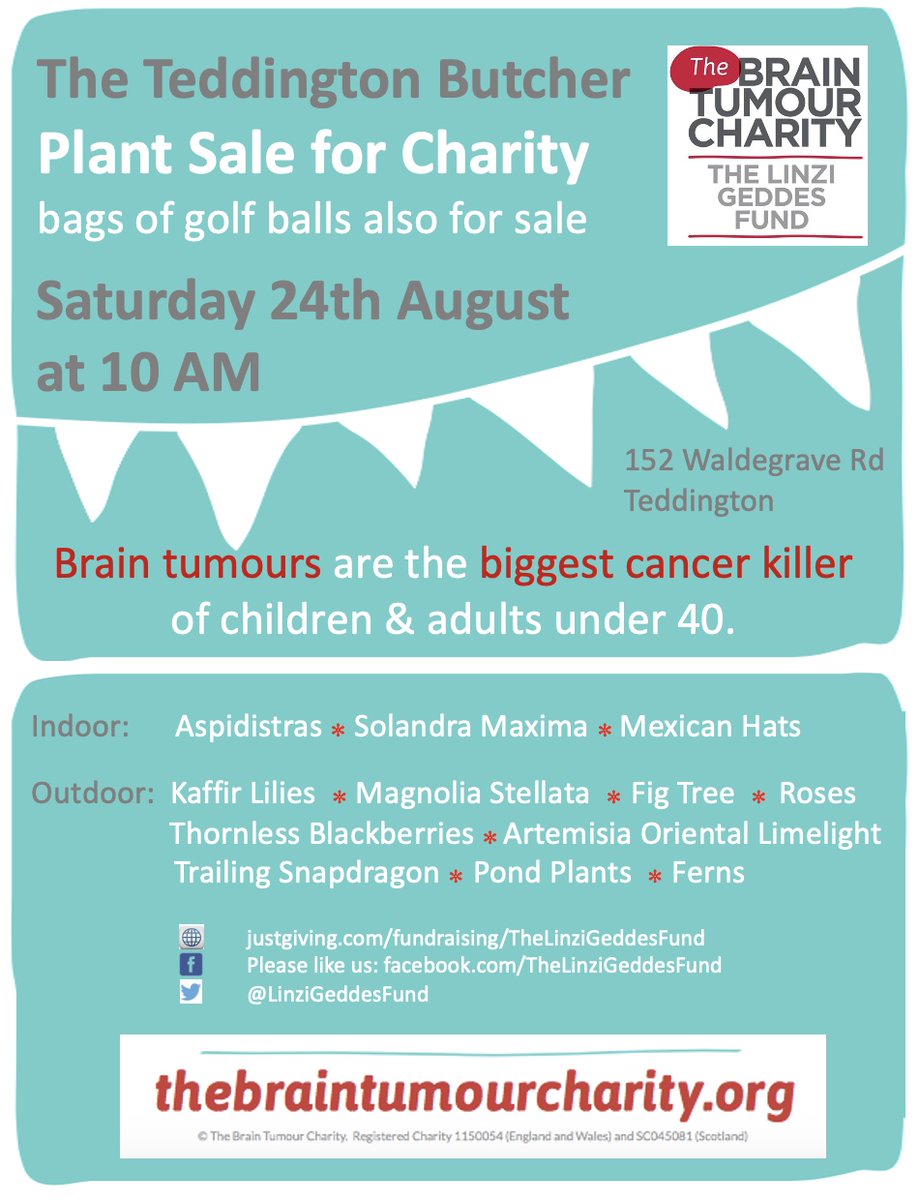 #plantsale #thebraintumourcharity #thelinzigeddesfund #braintumourawareness