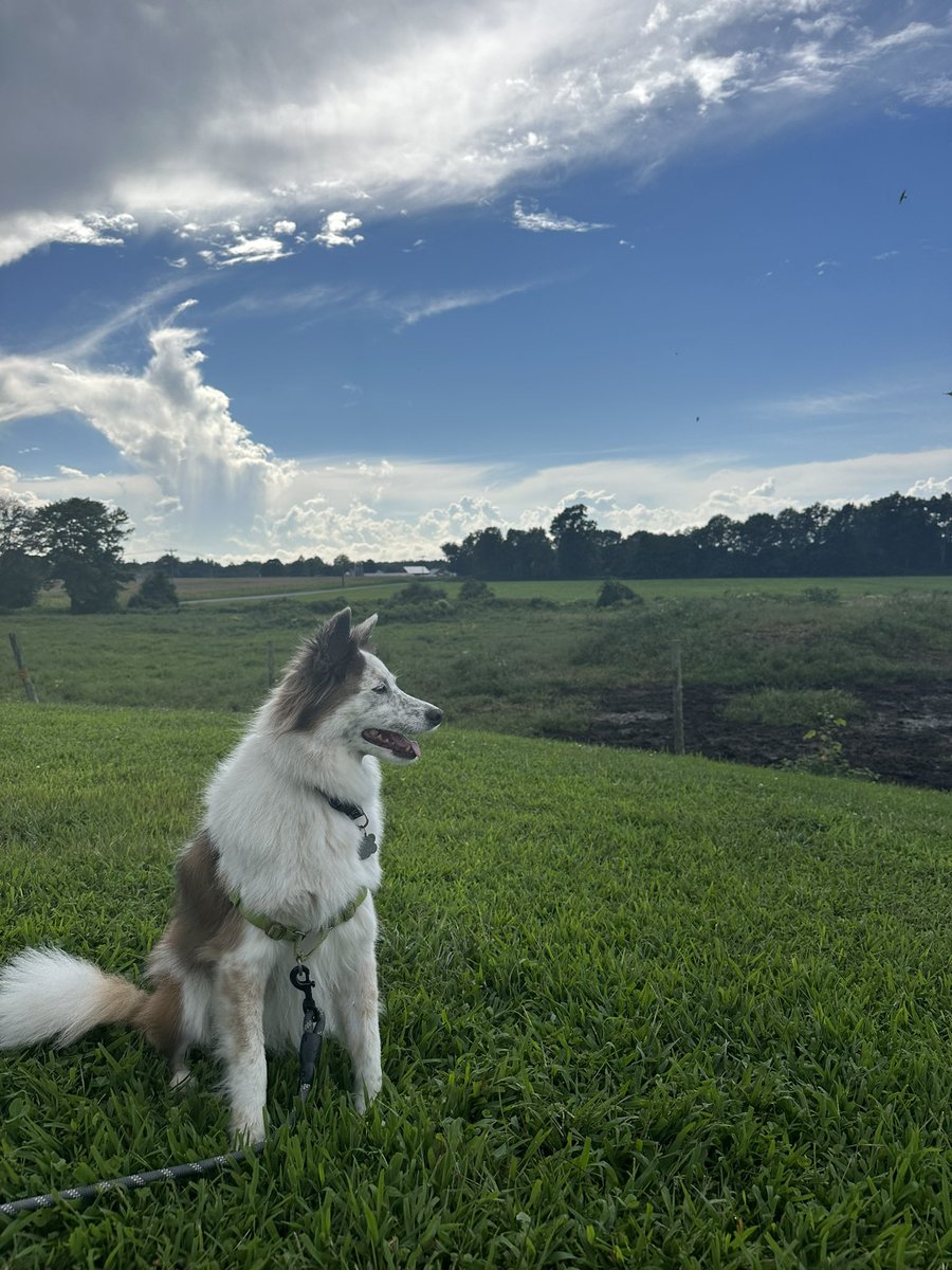 Thinking about how AI will shape the future