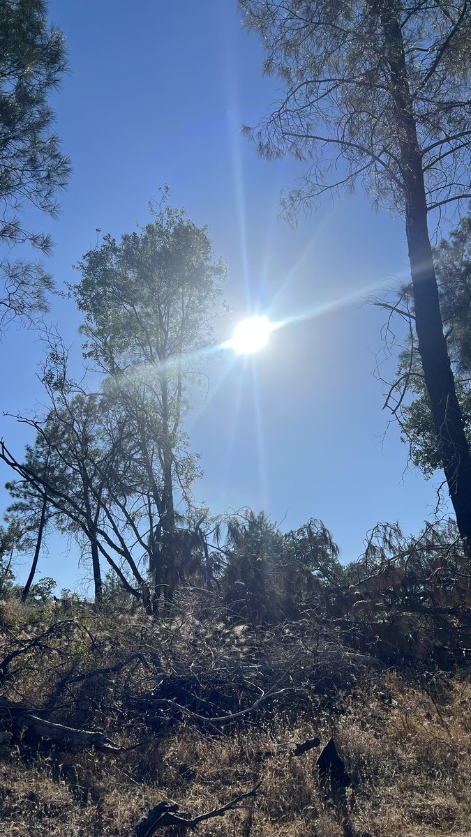 VittorioVitt0ri's tweet image. Honor the wisdom of our ancestors by embracing the sun’s warmth. Spend time in its light, for nature’s gifts renew both body and spirit. Seek the sun as they did, and find vitality in its embrace. 🌞⚔️🏛️🏆
#SunlightWisdom #AncientPractices