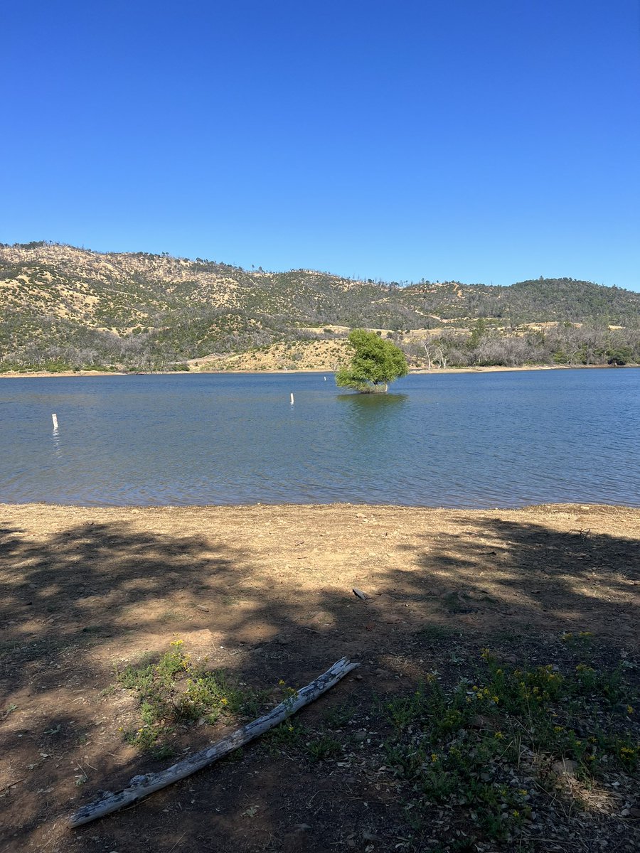 VittorioVitt0ri's tweet image. Honor the wisdom of our ancestors by embracing the sun’s warmth. Spend time in its light, for nature’s gifts renew both body and spirit. Seek the sun as they did, and find vitality in its embrace. 🌞⚔️🏛️🏆
#SunlightWisdom #AncientPractices