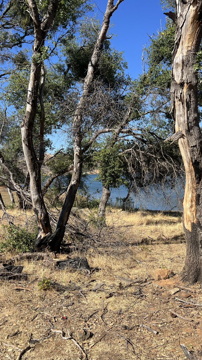 VittorioVitt0ri's tweet image. Honor the wisdom of our ancestors by embracing the sun’s warmth. Spend time in its light, for nature’s gifts renew both body and spirit. Seek the sun as they did, and find vitality in its embrace. 🌞⚔️🏛️🏆
#SunlightWisdom #AncientPractices