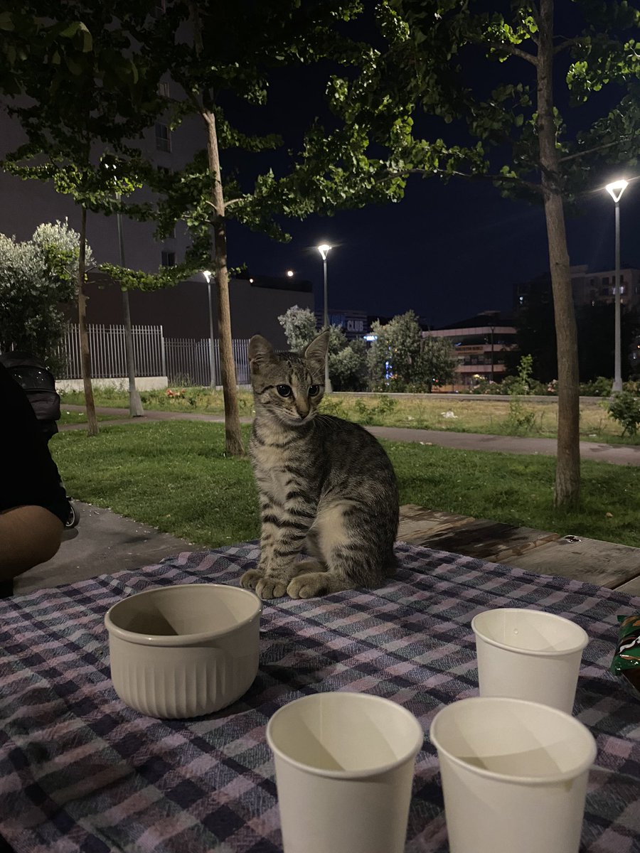 Eray (@eraycn09) on Twitter photo 