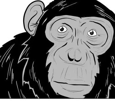 Seattle Surge (Parody) tweet media