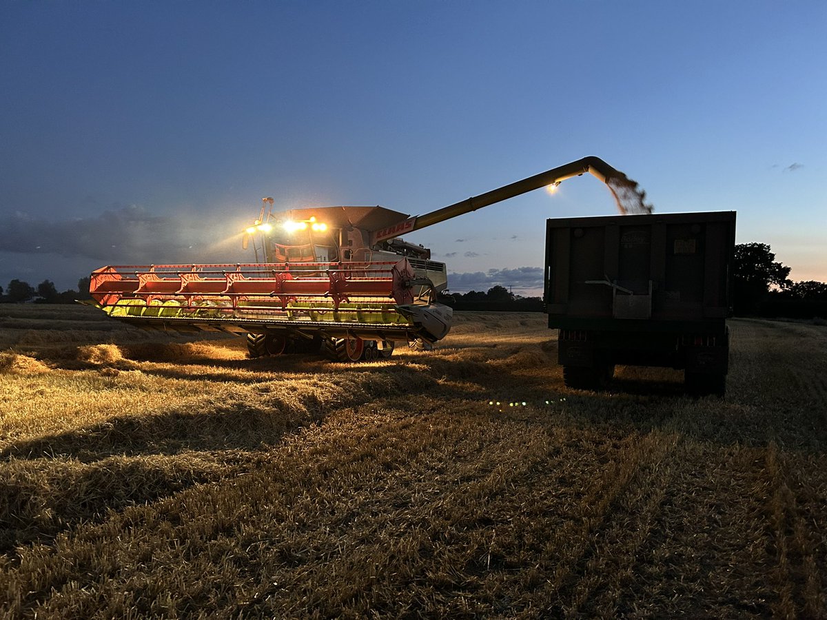 Last trailer load of wheat/ barley harvest 2024 .  Phenomenal team effort