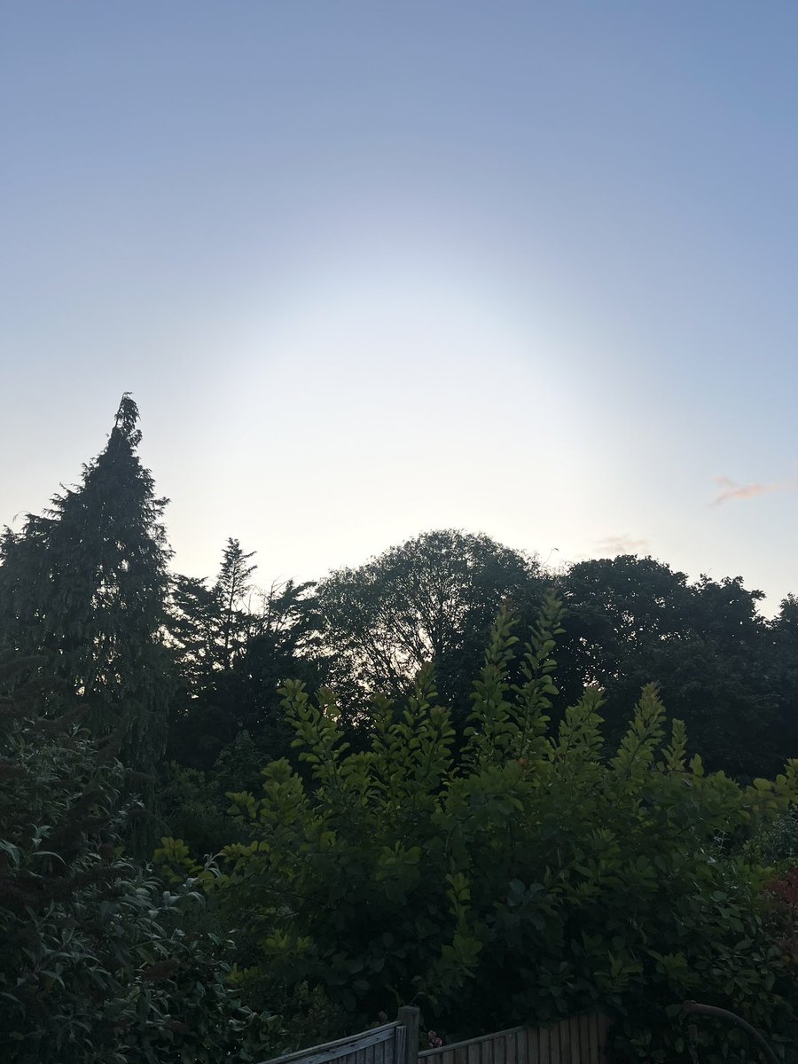 When you want to lie on the couch but you remember #NursesActive and you realise the dark nights are coming soon.  <a href="/MarcelleTauber/">Marcelle Tauber-Gilmore, RGN, BSc, MSc 💙💛</a> <a href="/SigsworthJanice/">Janice Sigsworth RN 💙</a> <a href="/n_PiresRN/">npires🇵🇹🇪🇺🌈 {he/him}</a>