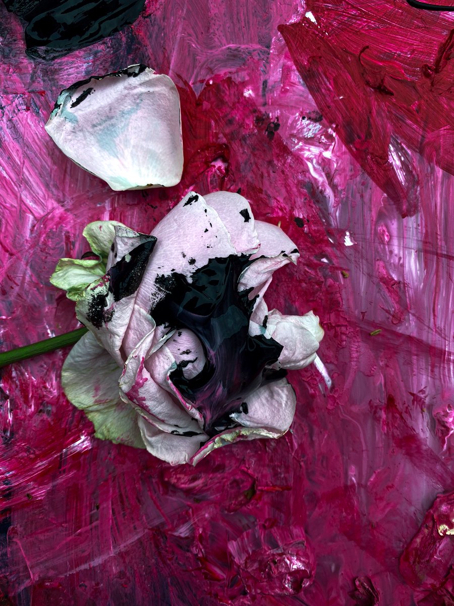 Zoe Louise tweet media