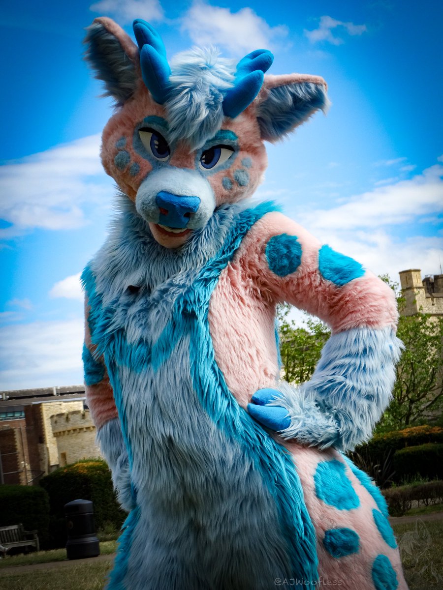 AJWoofless's tweet photo. @LondonFurs Photos - 10/08/2024

Finally got the editing finished.  

#Fursuit #Furries #Furmeet #Photography

View below:
https://t.co/WlXtQMaV8o https://t.co/kgCVFFzp5z