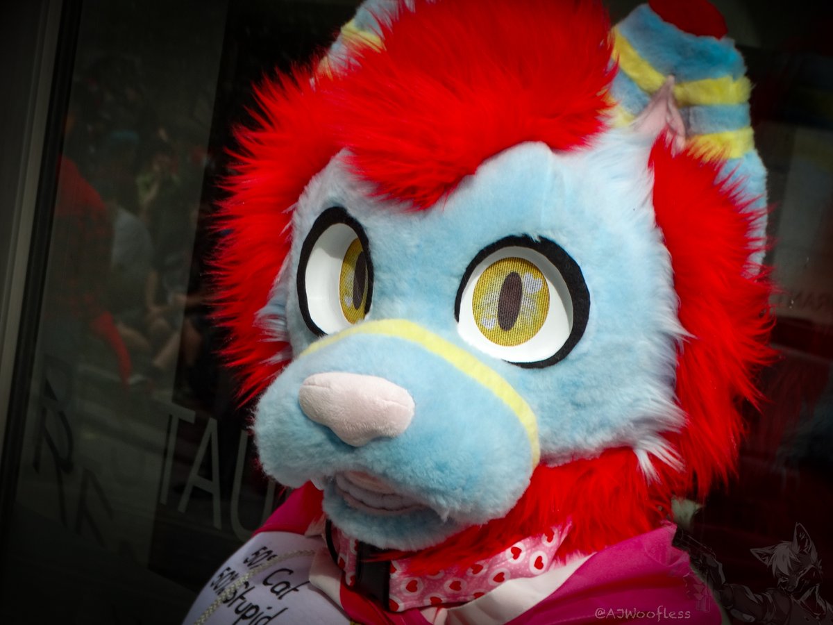 AJWoofless's tweet photo. @LondonFurs Photos - 10/08/2024

Finally got the editing finished.  

#Fursuit #Furries #Furmeet #Photography

View below:
https://t.co/WlXtQMaV8o https://t.co/kgCVFFzp5z