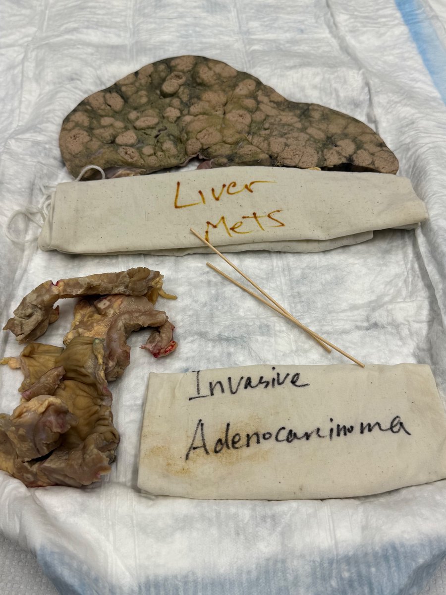 Suparna Sarkar tweet media