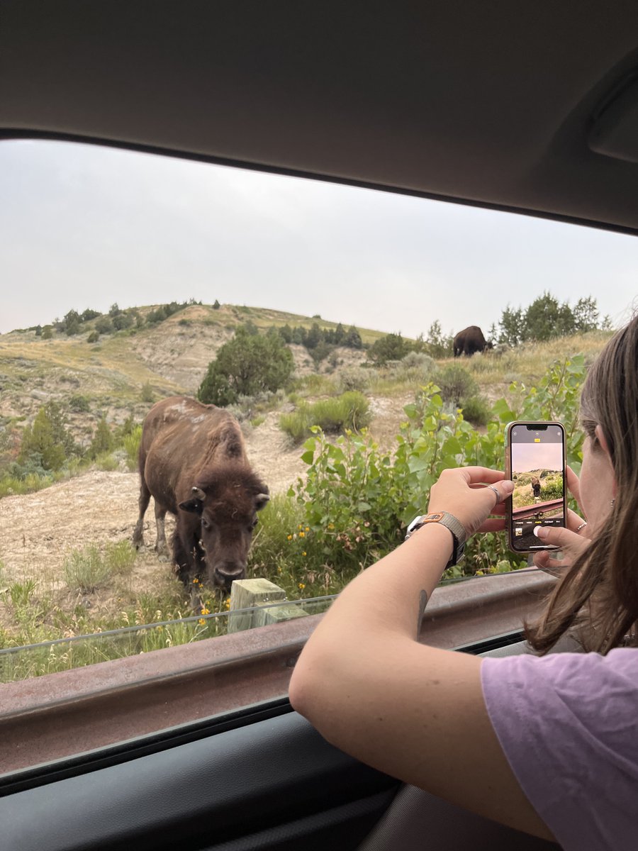 Medora, ND tweet media