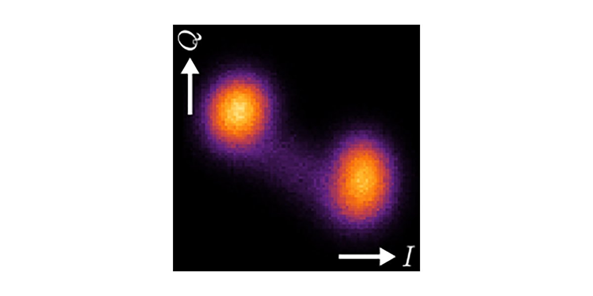 PRX Quantum tweet media