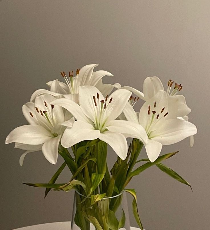 ❀ (@i3moment) on Twitter photo 