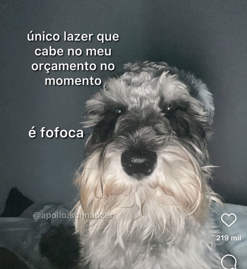 Itspedrito's tweet photo. eu assim https://t.co/0RuSfbMQpH