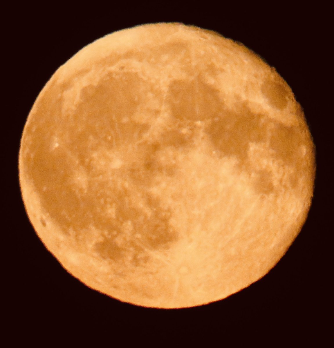 Toni Hall tweet media