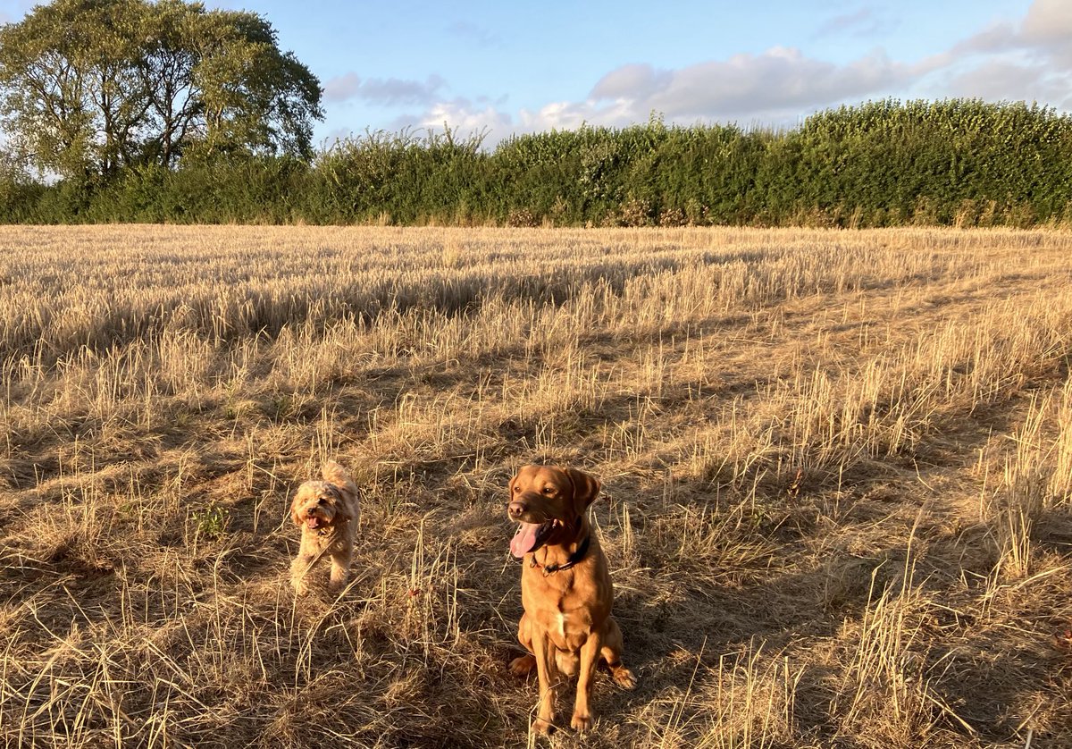 Louise Wright tweet media