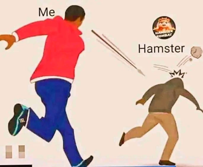 #hamster_kombat 
#TapTapPLAY 
We are fed up 😠