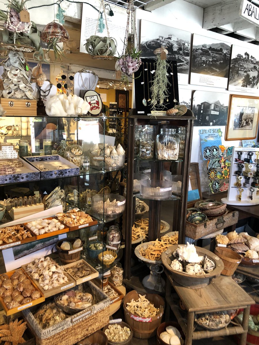 tanaren_'s tweet photo. someone please take me to look at trinkets please i am dying i need to look at trinkets please they are so little and cute and i need to take pictures of them please https://t.co/ZsBgArWQWk