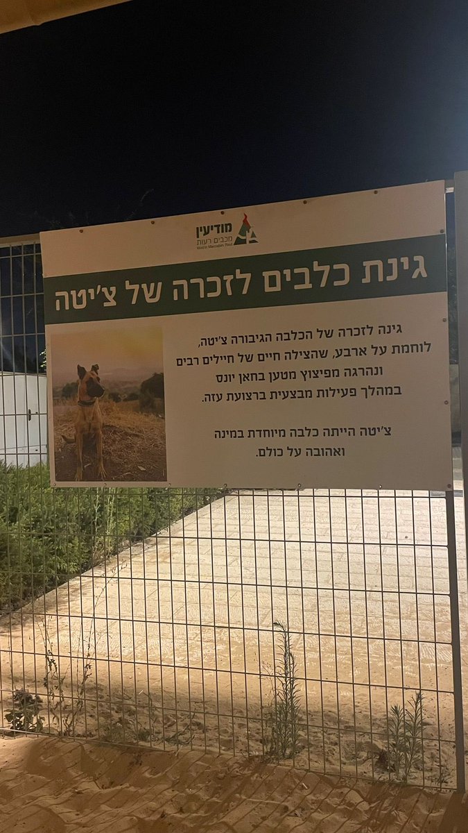 פארק הכלבים אצלנו בשכונה. מרגש כל כך❤️
תקראו…